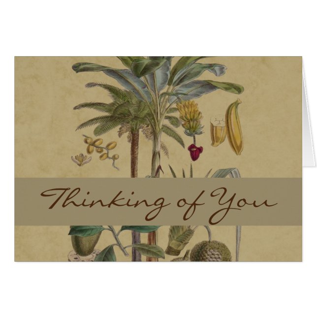 Palm Antique Tropical Fruit Botanical Art (Front Horizontal)