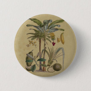 Palm Antique Tropical Fruit Botanical Art 6 Cm Round Badge