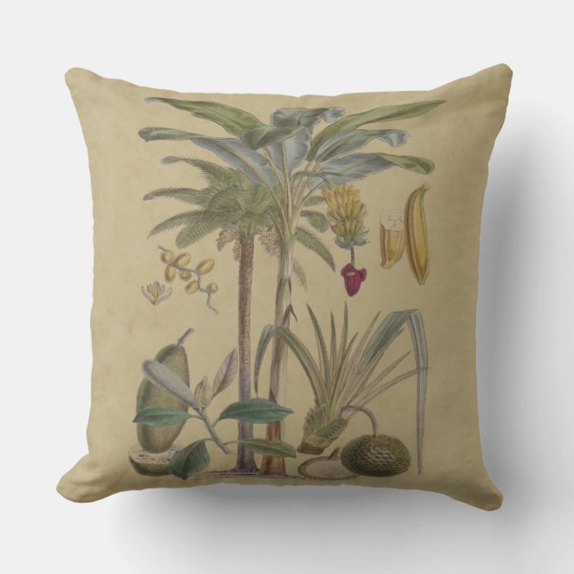 Palm Antique Tropical Fruit Botanical Art Cushion (Front)