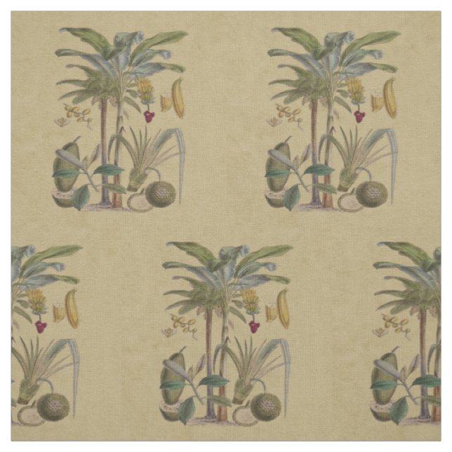 Palm Antique Tropical Fruit Botanical Art Fabric (Swatch)
