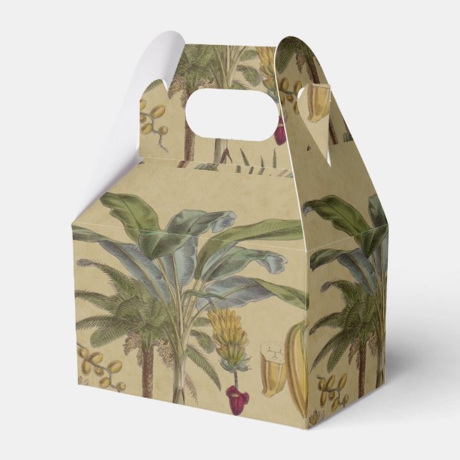 Palm Antique Tropical Fruit Botanical Art Favour Box (Front Side)