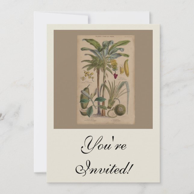 Palm Antique Tropical Fruit Botanical Art Invitation (Front)