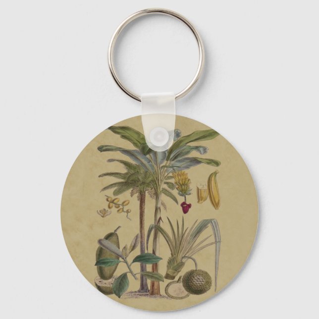 Palm Antique Tropical Fruit Botanical Art Key Ring (Front)