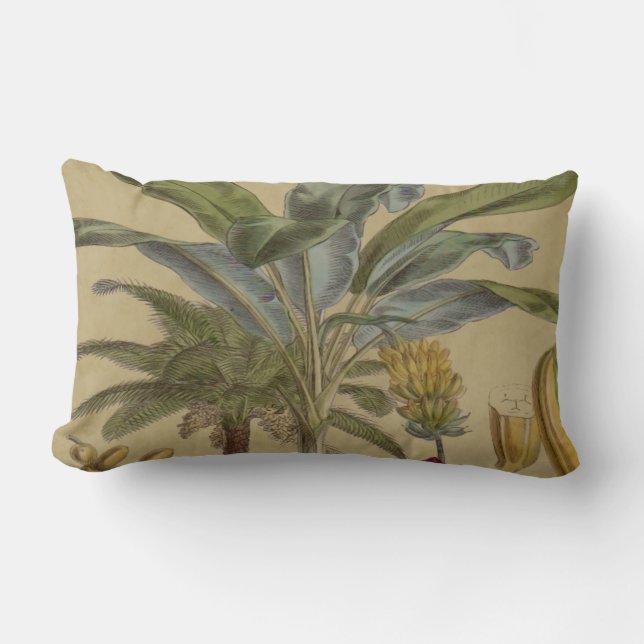 Palm Antique Tropical Fruit Botanical Art Lumbar Cushion (Front)