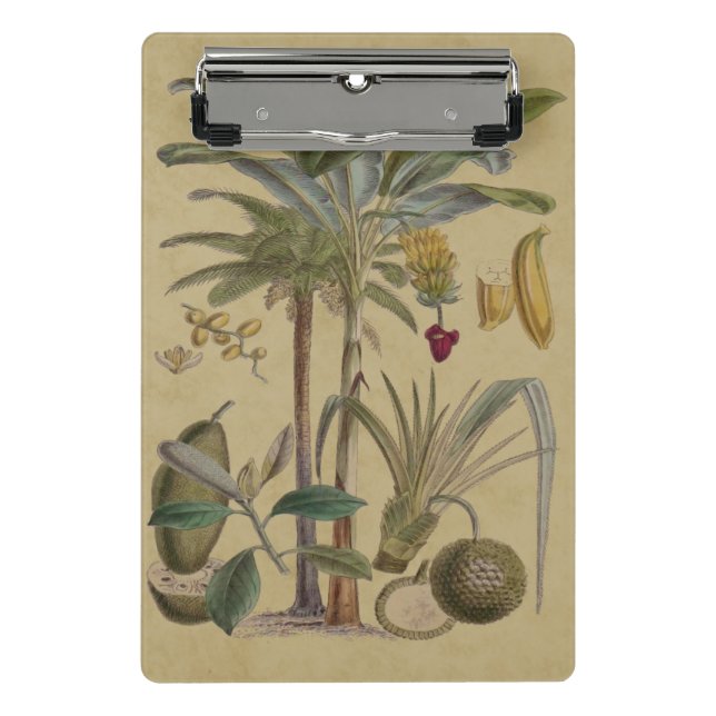 Palm Antique Tropical Fruit Botanical Art Mini Clipboard (Front)