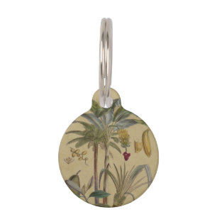 Palm Antique Tropical Fruit Botanical Art Pet Tag