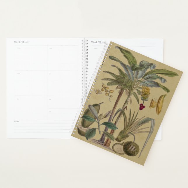 Palm Antique Tropical Fruit Botanical Art Planner (Display)