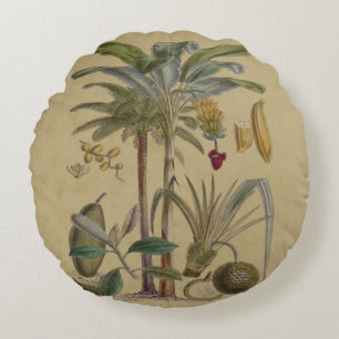 Palm Antique Tropical Fruit Botanical Art Round Cushion