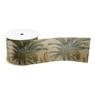 Palm Antique Tropical Fruit Botanical Art Satin Ribbon