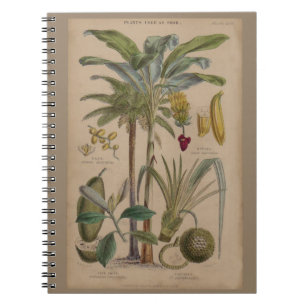 Palm Antique Tropical Fruit Botanical Art Spiral Notebook