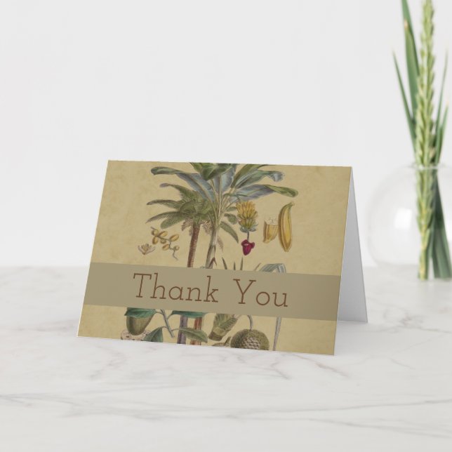 Palm Antique Tropical Fruit Botanical Art Thank You Card (Front)