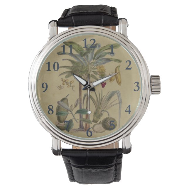 Palm Antique Tropical Fruit Botanical Art Watch (Front)