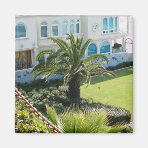 Palm at Oceanside CA Magnet