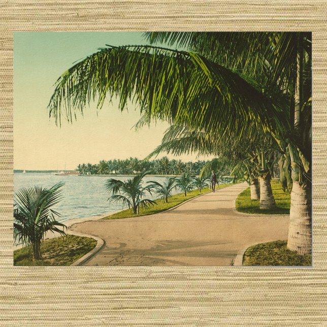 Palm Beach 1898 vintage Florida scene Poster (Creator Uploaded)