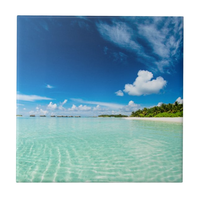 Palm beach deep blue skies aquamarine waters tile (Front)