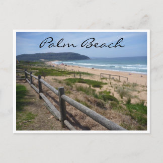 palm beach scene postcard