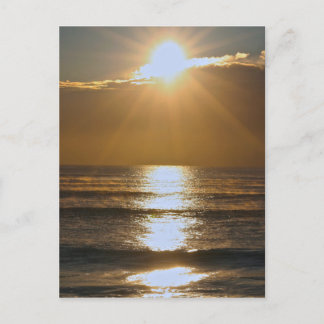 Palm Beach sunrise Postcard