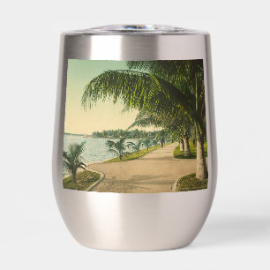 Palm Beach vintage Florida Scene