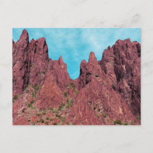 Palm Canyon Arizona Postcard