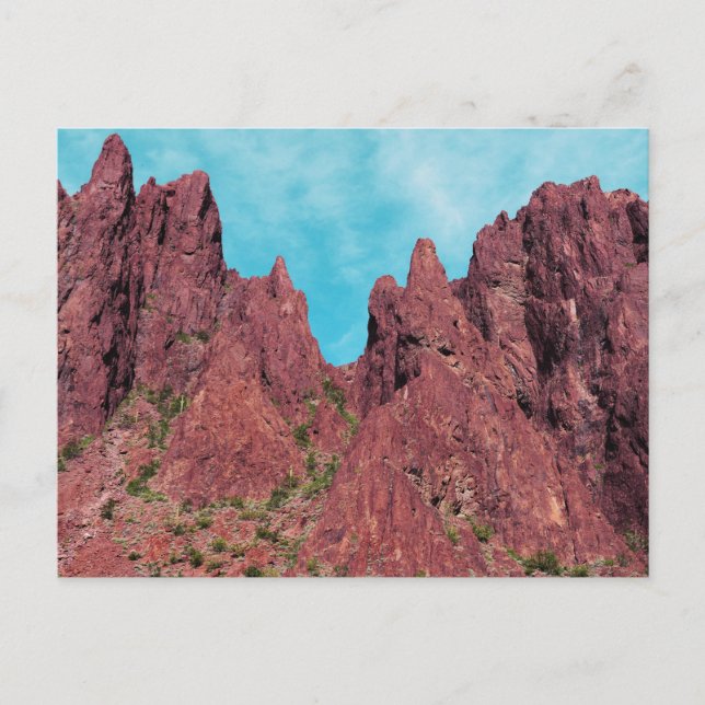 Palm Canyon Arizona Postcard (Front)