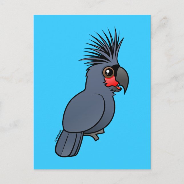 Palm Cockatoo Postcard (Front)