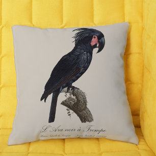 Palm Cockatoo, Probosciger aterrimus parrot, retro Cushion