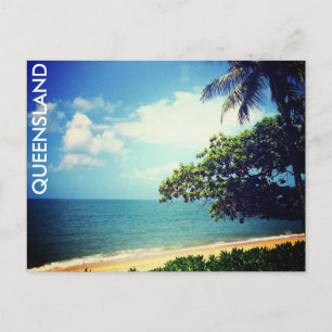 palm cove beach life postcard