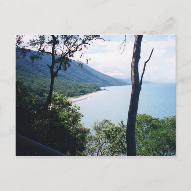 Palm Cove Postcard (Front)