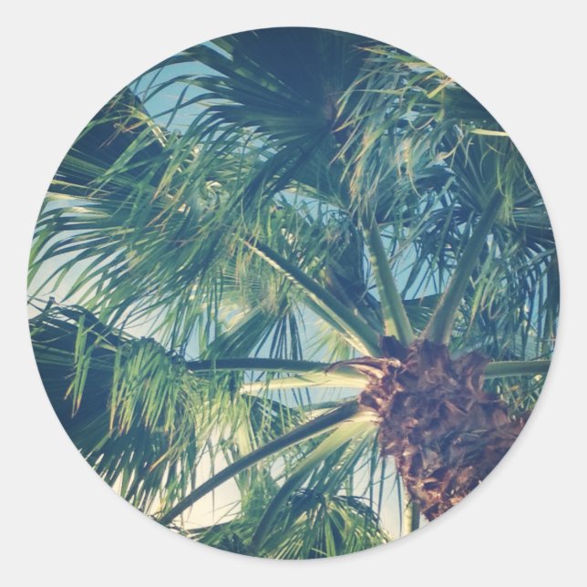 Palm Fronds Classic Round Sticker (Front)