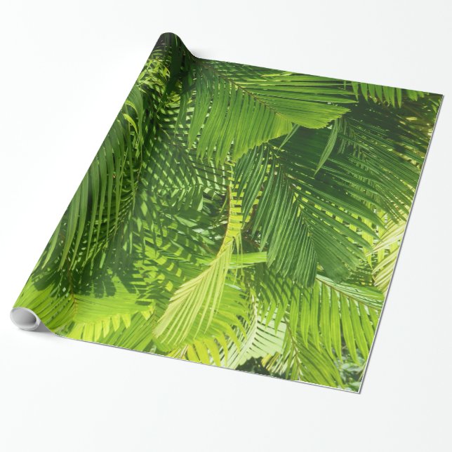 Palm Fronds Wrapping Paper (Unrolled)