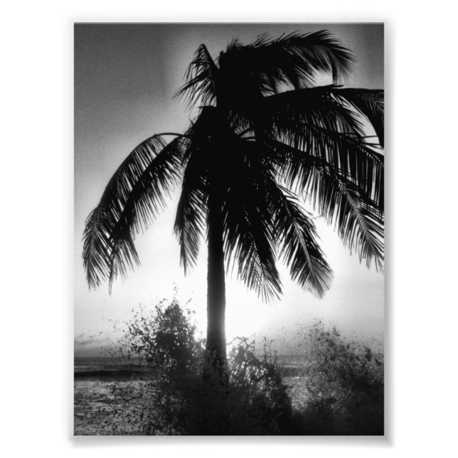 Palm In A Storm Photo Print (Front)