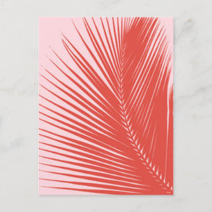 Palm leaf - Coral and shell pink Postcard