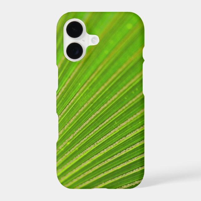 Palm Leaf Macro (Back)