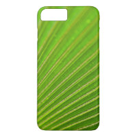 Palm Leaf Macro