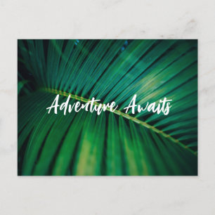 Palm Leaf Post Card