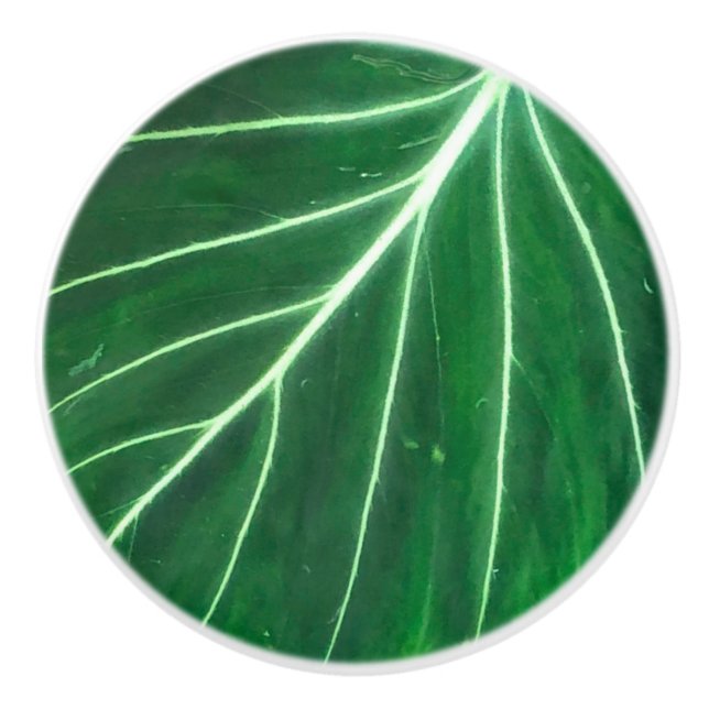 Palm Leaf, tropical foliage, jungle rainforest  Ceramic Knob (Front)