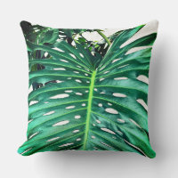 Palm Leaf, tropical foliage, jungle rainforest 