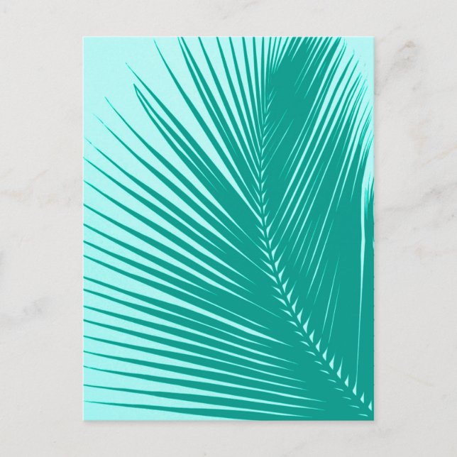 Palm leaf - Turquoise and aqua Postcard (Front)