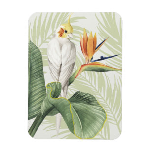 Palm Leaves With White Bird Magnet