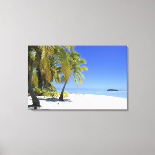 Palm lined beach Cook Islands 2 Canvas Print
