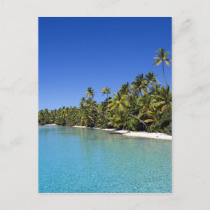 Palm lined beach Cook Islands 2 Postcard