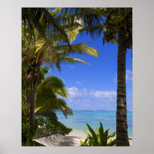 Palm lined beach Cook Islands 2 Poster