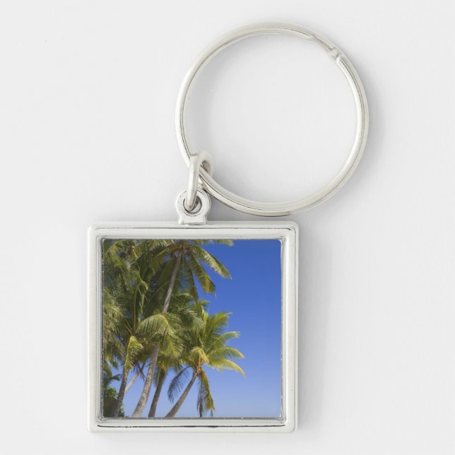 Palm lined beach Cook Islands 3 Key Ring (Front)
