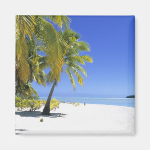 Palm lined beach Cook Islands 3 Magnet