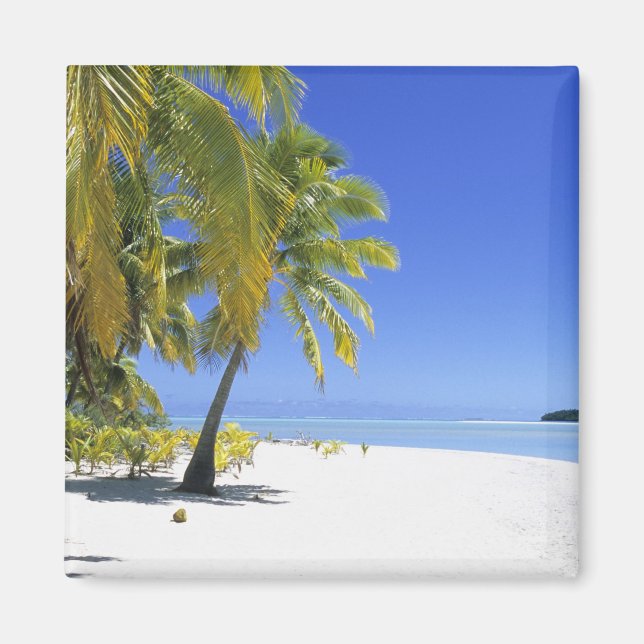 Palm lined beach Cook Islands 3 Magnet (Front)