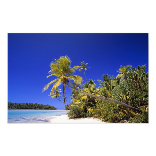 Palm lined beach Cook Islands 4 Photo Print (Front)