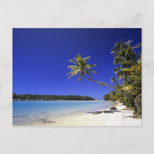 Palm lined beach Cook Islands 5 Postcard