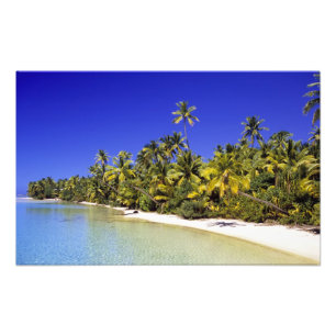 Palm lined beach Cook Islands 6 Photo Print