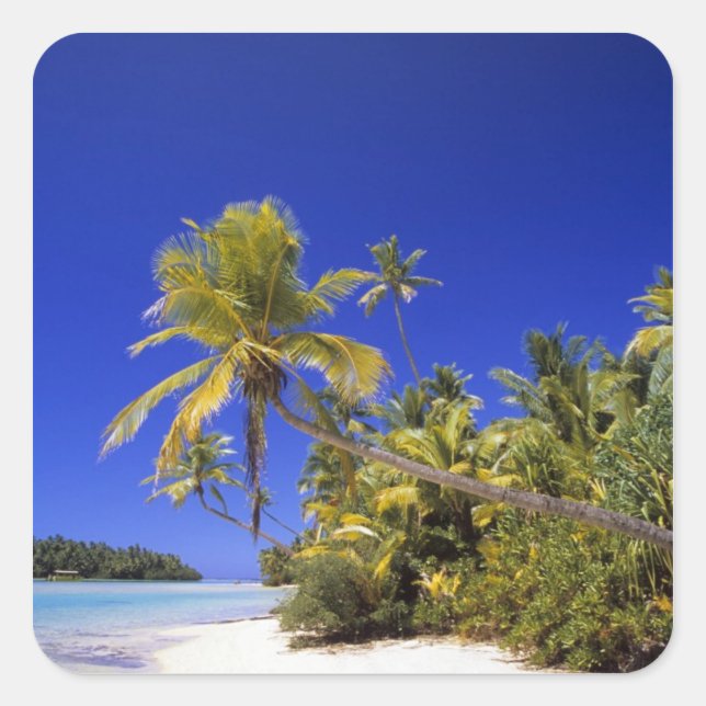 Palm lined beach Cook Islands 7 Square Sticker (Front)
