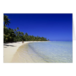 Palm lined beach Cook Islands 8